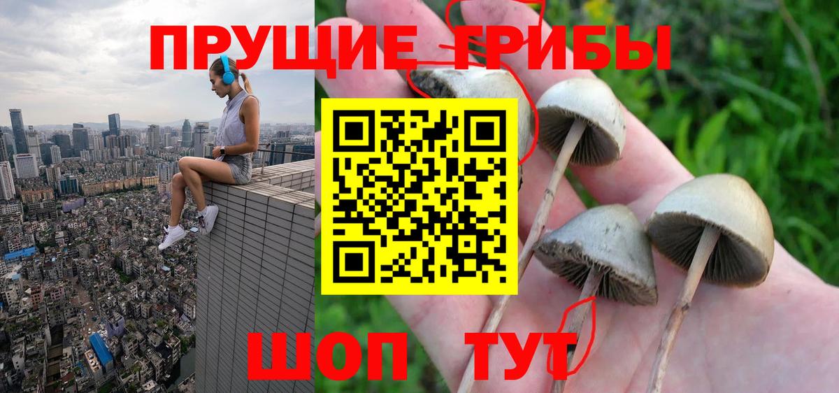 Сунжа  купить наркотик  Вход с VPN  Галлюциногенные грибы прущие грибы 
